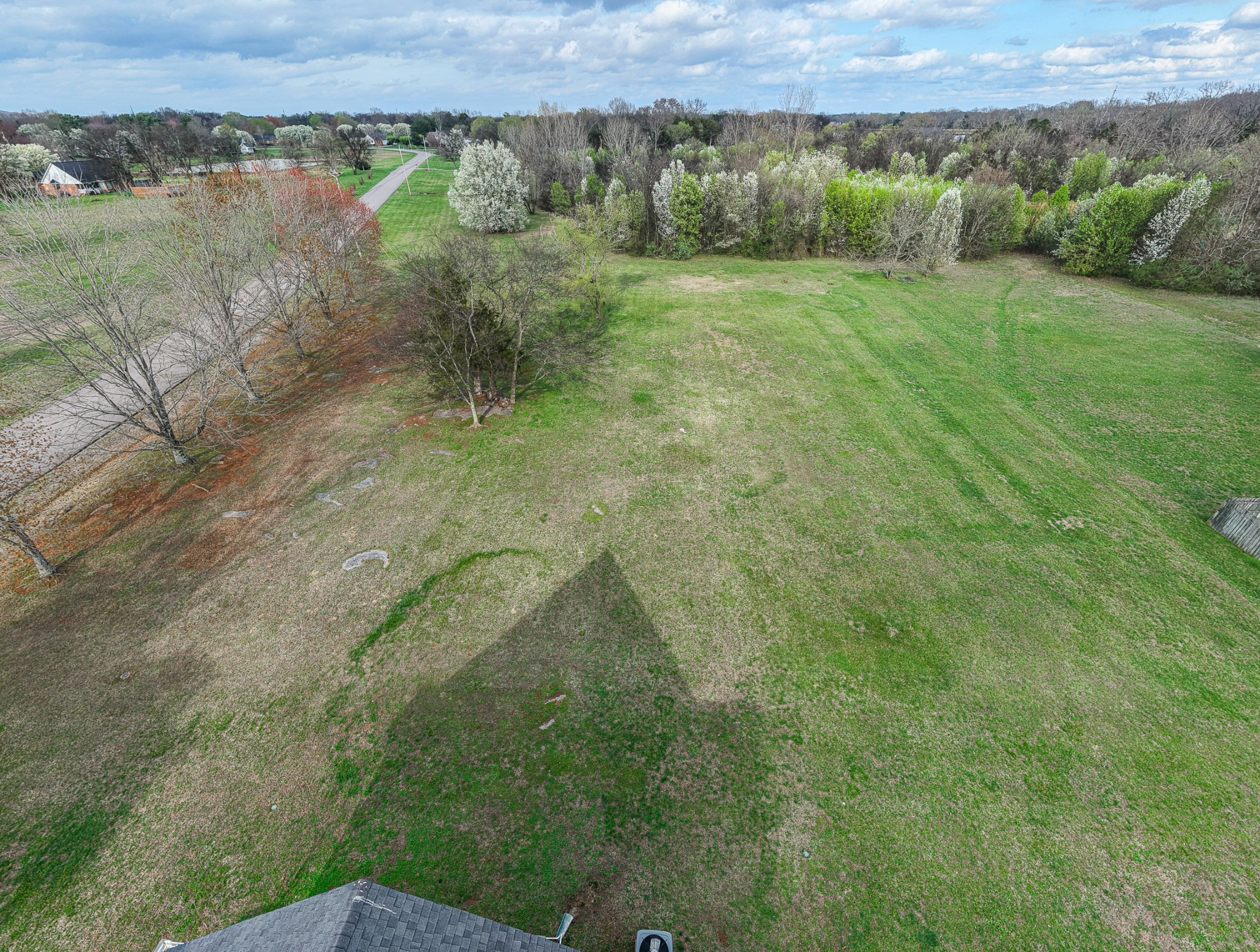 3145 Middleton Drive Rockvale, TN 37153 - Photo 49 of 50 a view of a lush green forest with a lake
