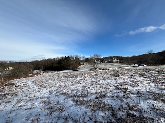 Lakeview Drive Hamilton, NY 13346 - Photo 5 of 5