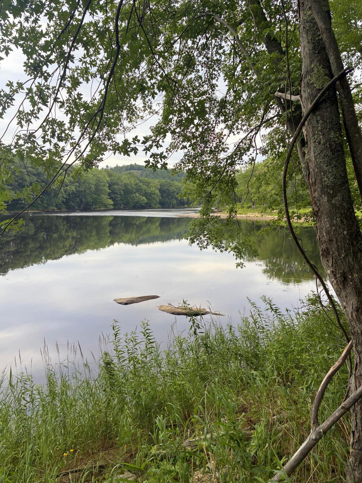 Lot 29 Auburn Road Peru, ME 04290 - Photo 2 of 7 Peru-Waterfrontage2