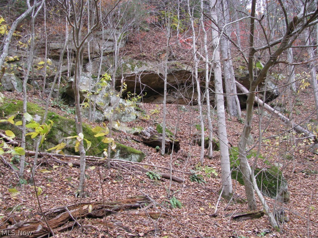 0 Bone Creek Road Berea, WV 26327 - Photo 16 of 21 Gallery Image 16