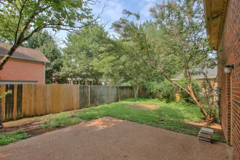 a backyard of a house with plants and large trees
