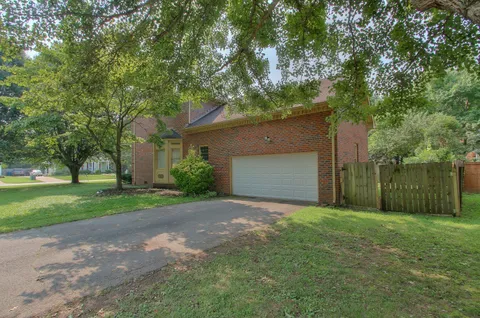 a view of a yard with large trees