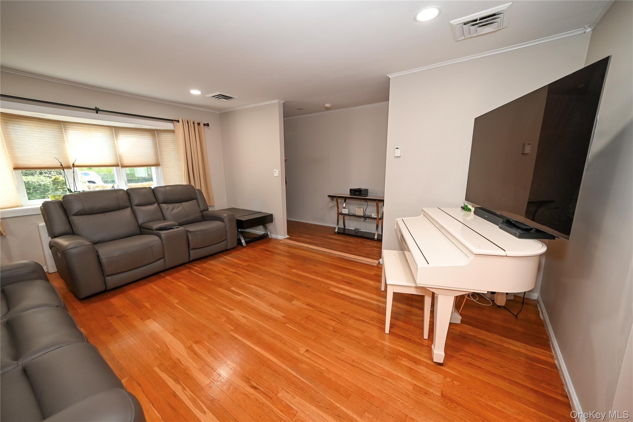 1522 Rica Place Valley Stream, NY 11580 - Photo 3 of 34 a living room with furniture and a flat screen tv