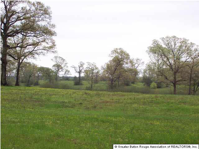 0 Bethel Road Kentwood, LA 70444 - Photo 3 of 3 Gallery Image 3