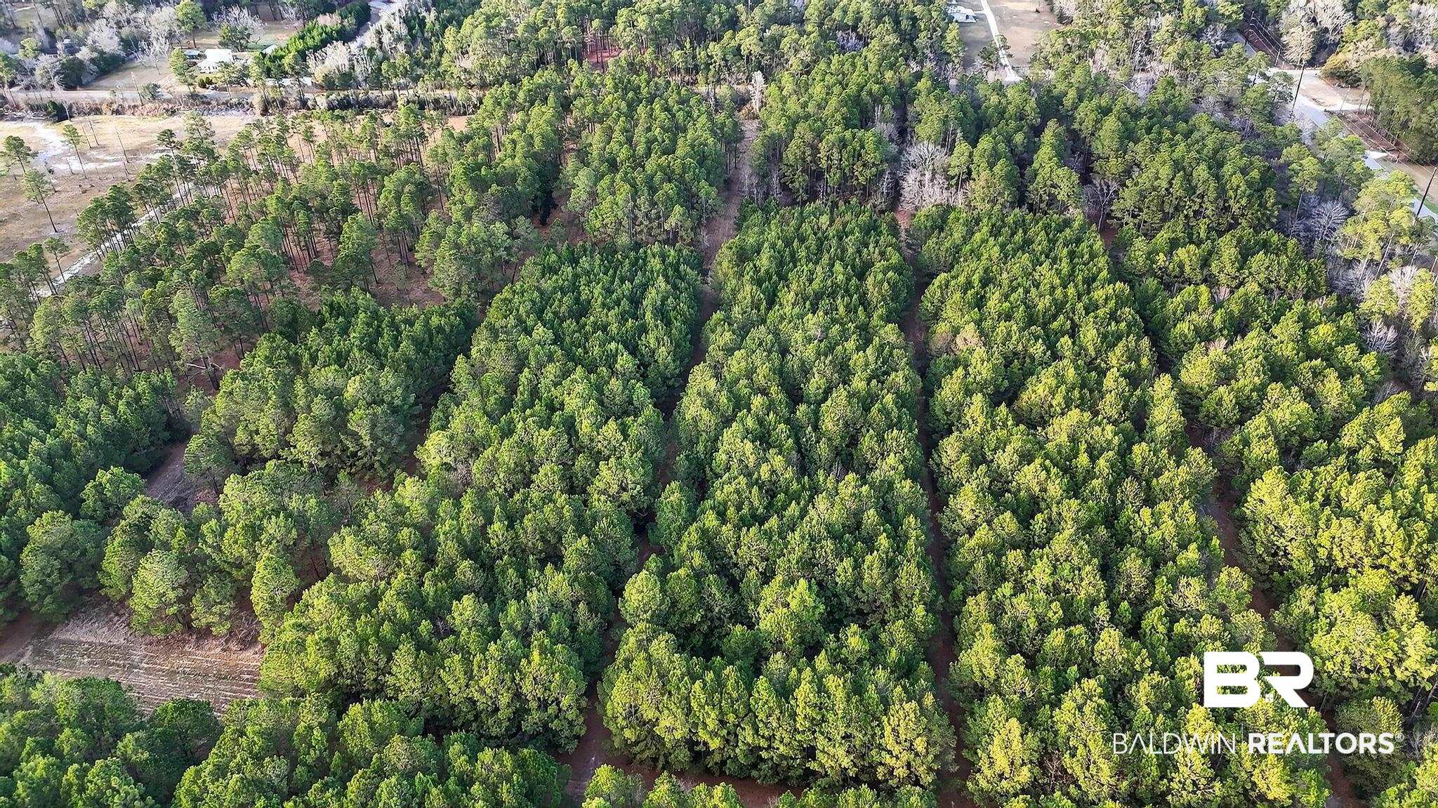 0 Hemley Road Bayou La Batre, AL 36509 - Photo 23 of 28