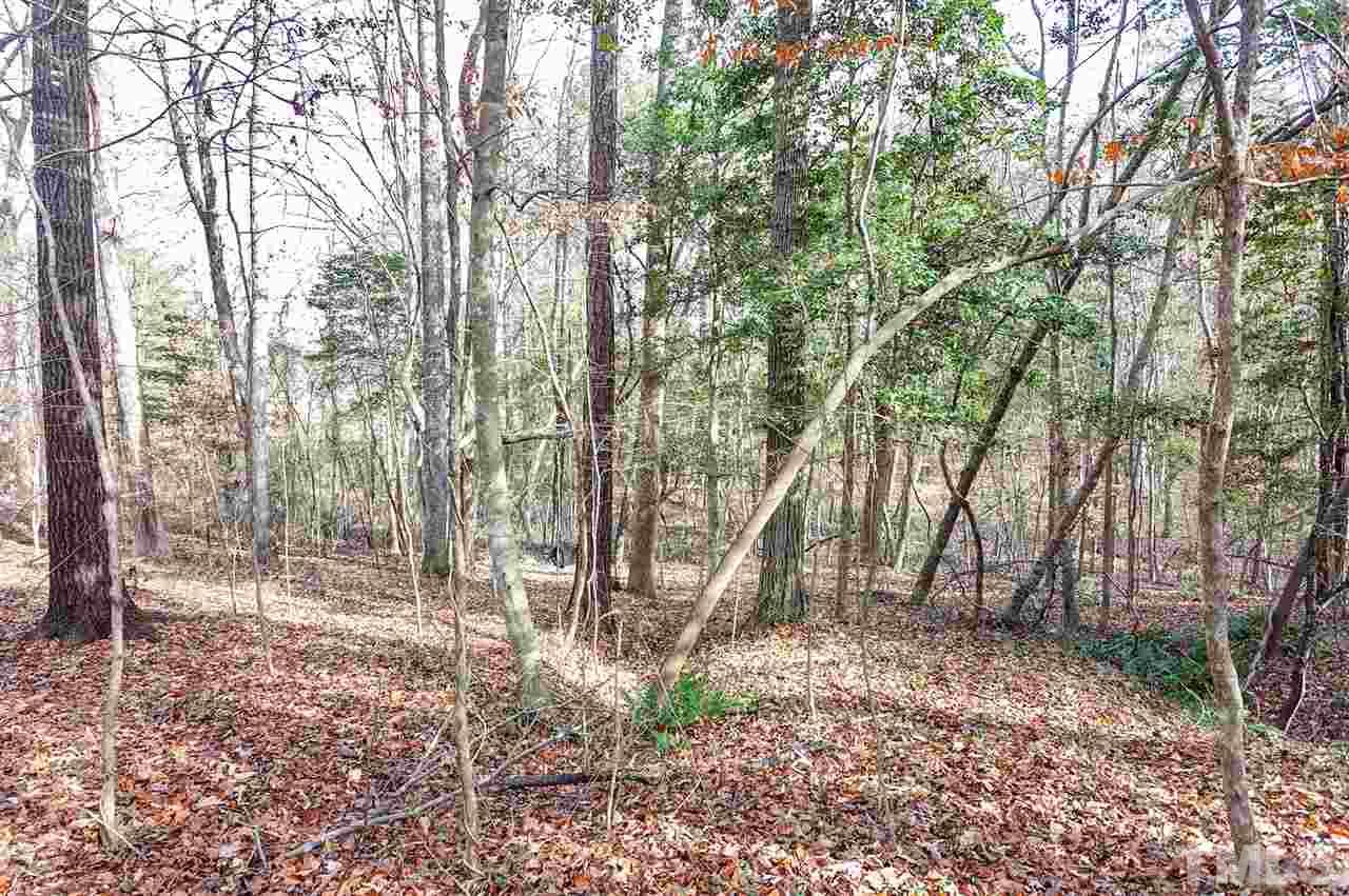 109 Neuse Harbor Drive Raleigh, NC 27610 - Photo 21 of 25 a backyard of a house with lots of green space