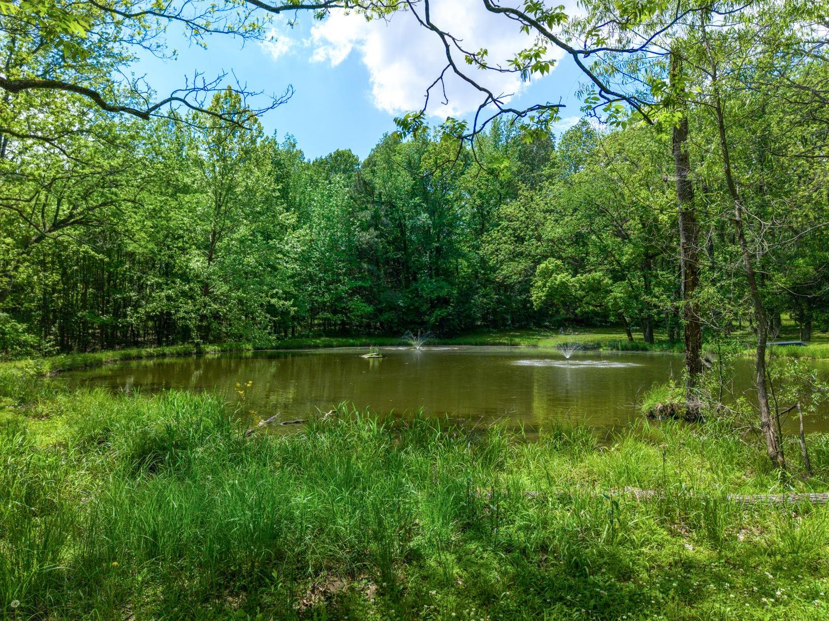 1876 Durhamville Road Ripley, TN 38063 - Photo 20 of 37 a view of lake with a yard