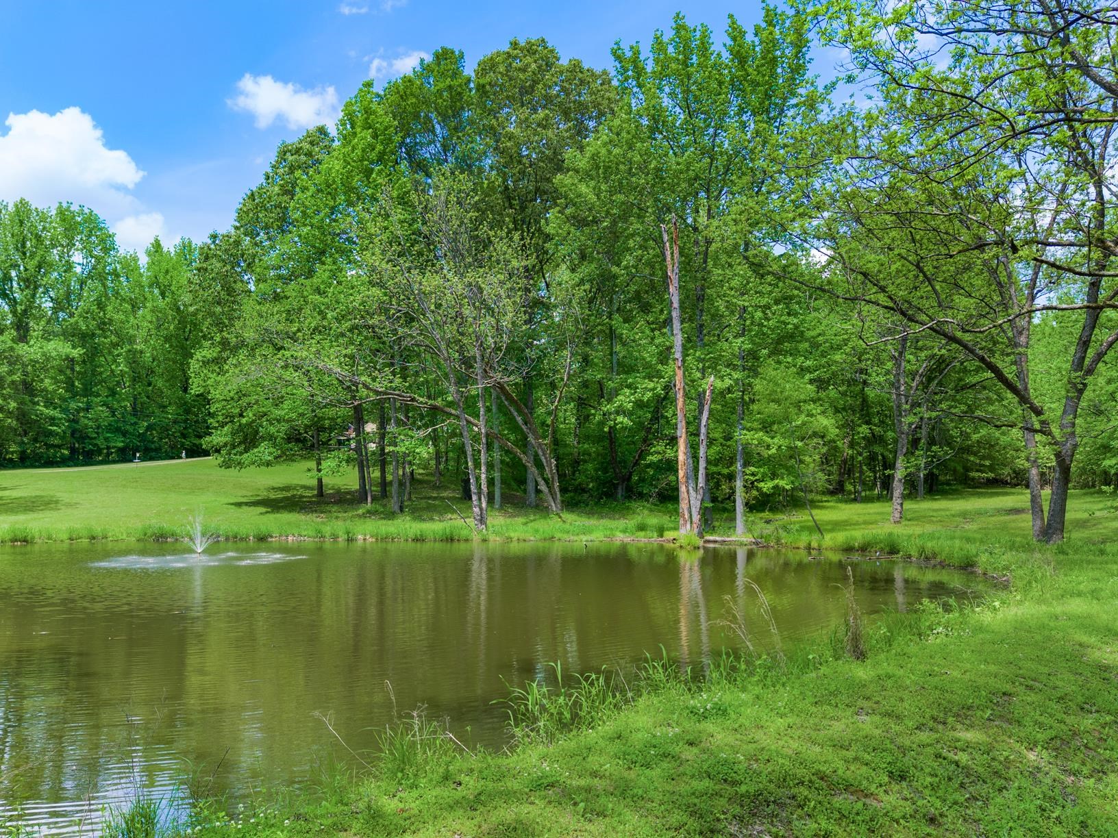 1876 Durhamville Road Ripley, TN 38063 - Photo 3 of 37 a view of a green field with a tree