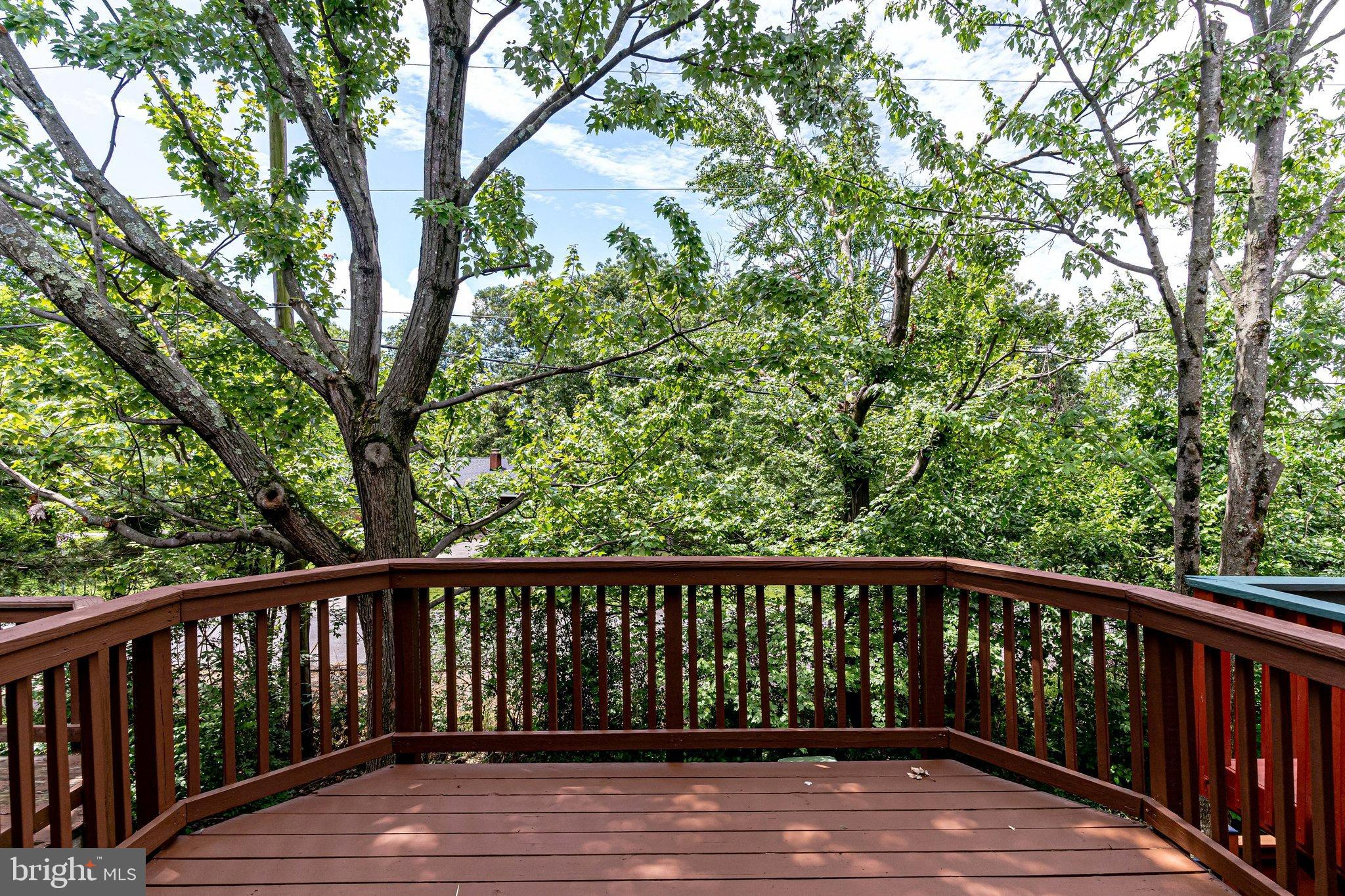 2841 Shepperton Terrace Silver Spring, MD 20904 - Photo 43 of 44