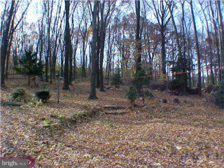 298 Bishop Road Pottstown, PA 19465 - Photo 4 of 5