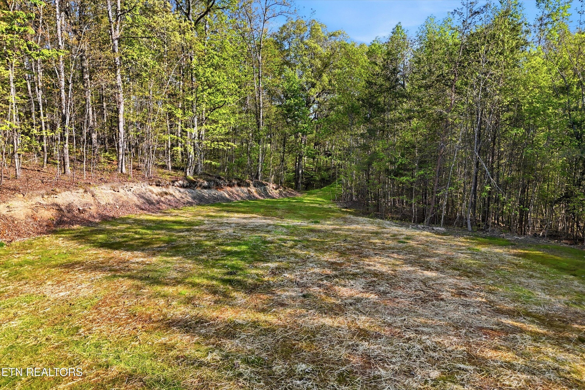 354 Ladd Ridge Road Kingston, TN 37763 - Photo 10 of 31 Gallery Image 10
