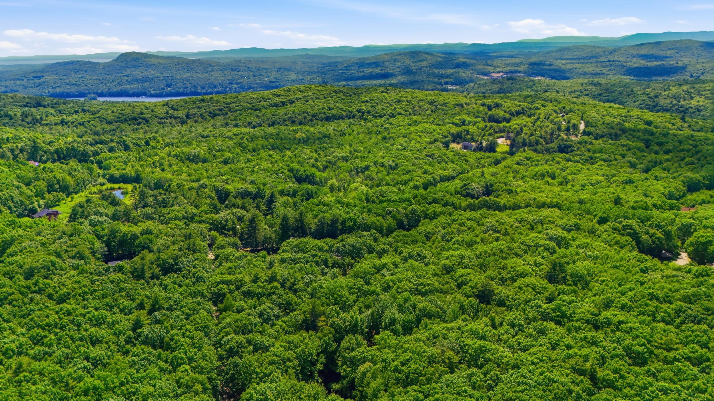 97 Tenny Hill Road Raymond, ME 04071 - Photo 79 of 83 29_dji_20260617152927_0053_d