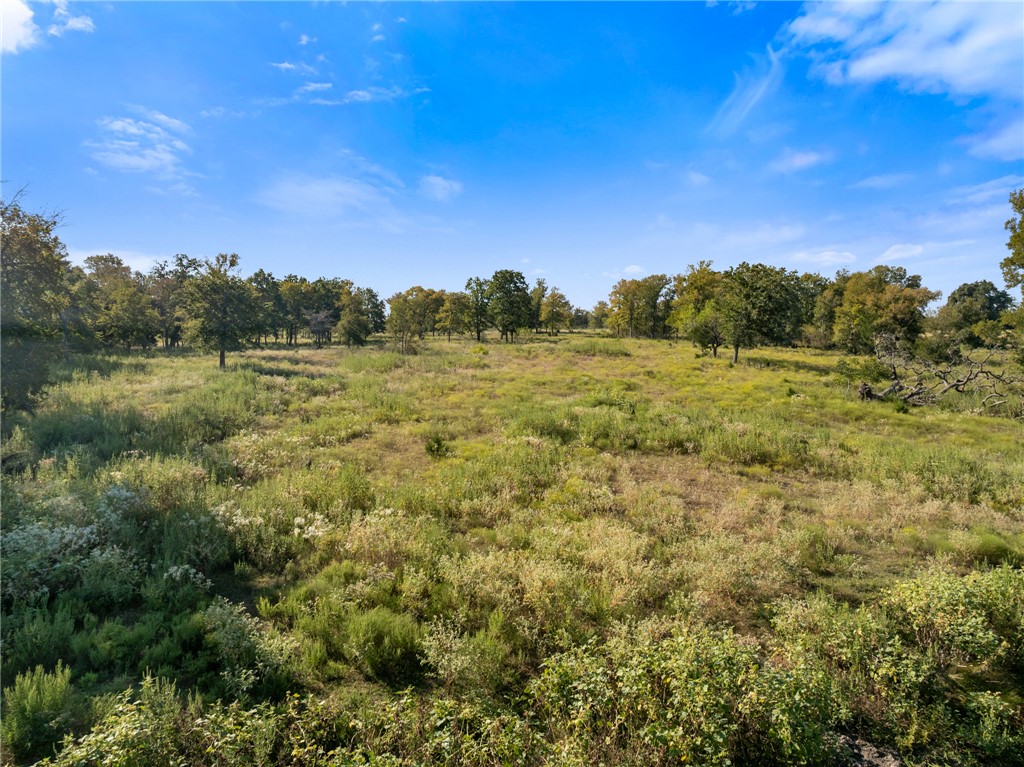 185 County Road 185 Anderson, TX 77830 - Photo 1 of 10