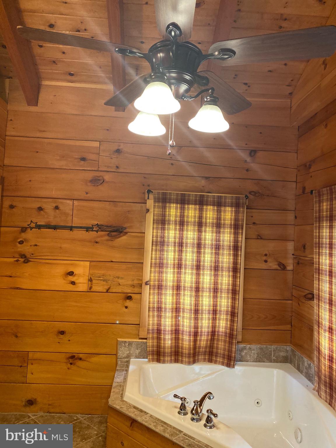 550 Cross Mountain Road Luray, VA 22835 - Photo 13 of 14 a bathroom with a bathtub and shower