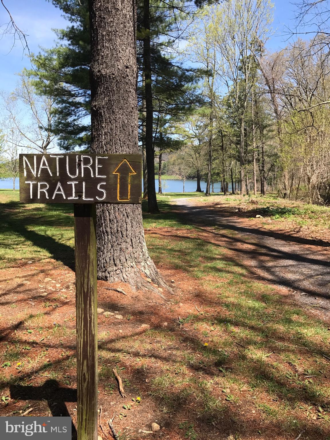 550 Cross Mountain Road Luray, VA 22835 - Photo 8 of 14 a front view of a house with garden