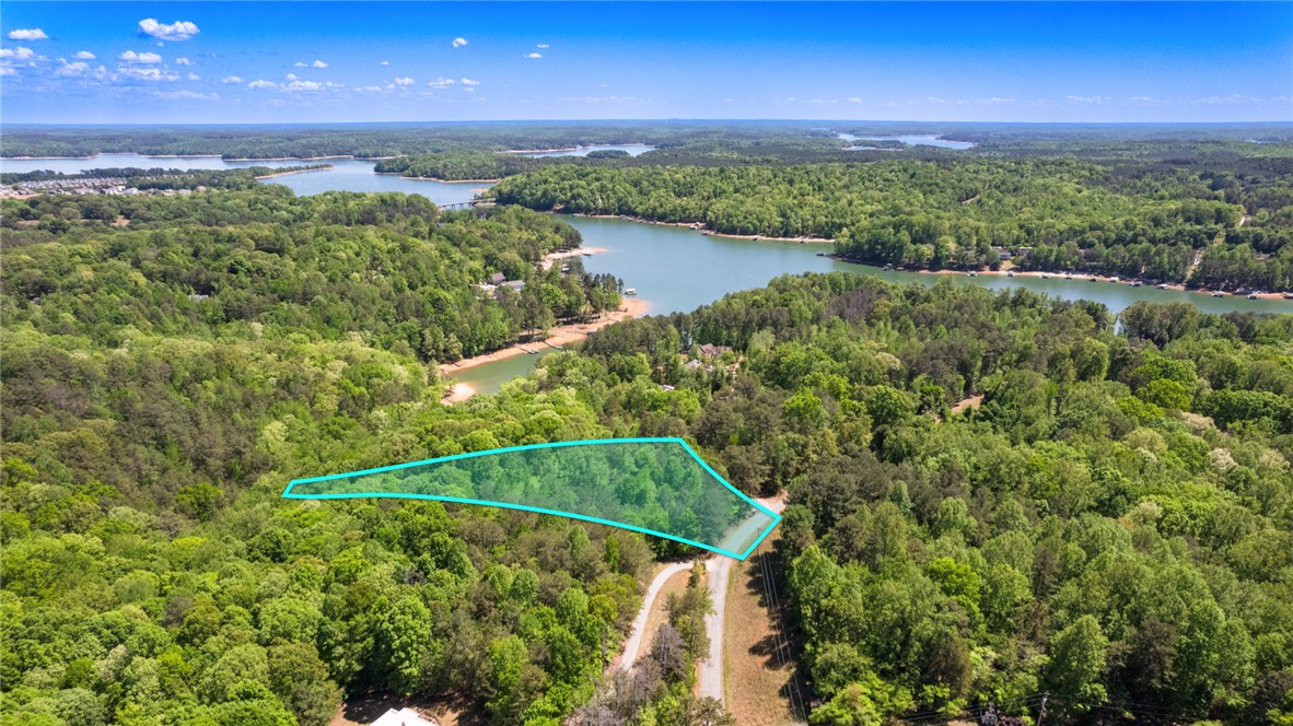 26 Wilbanks Road Seneca, SC 29678 - Photo 2 of 47 This aerial view showcases a vibrant green landscape bordering a serene lake.