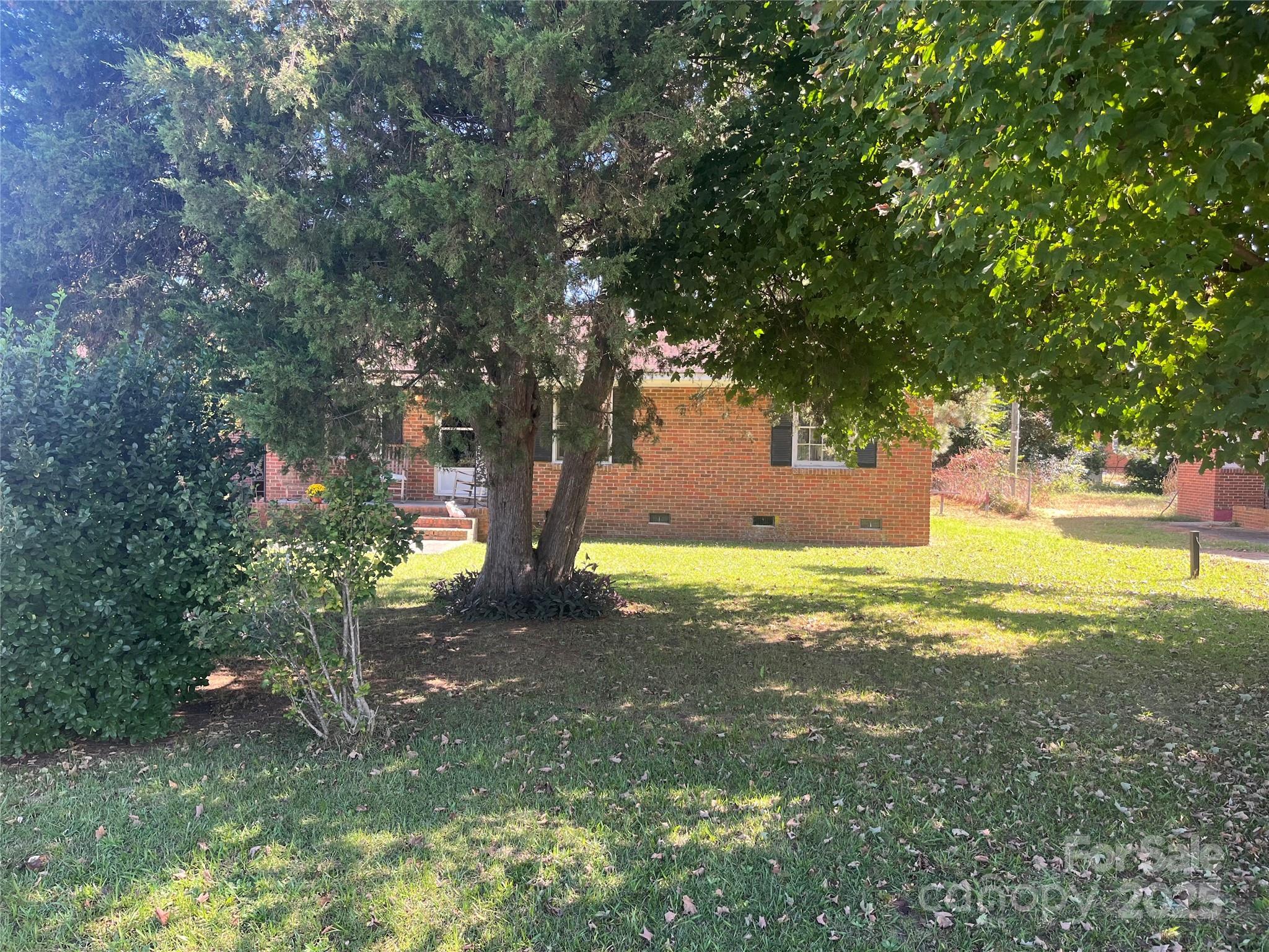 512 Produce Market Road Laurinburg, NC 28352 - Photo 9 of 10 a view of a yard with a tree