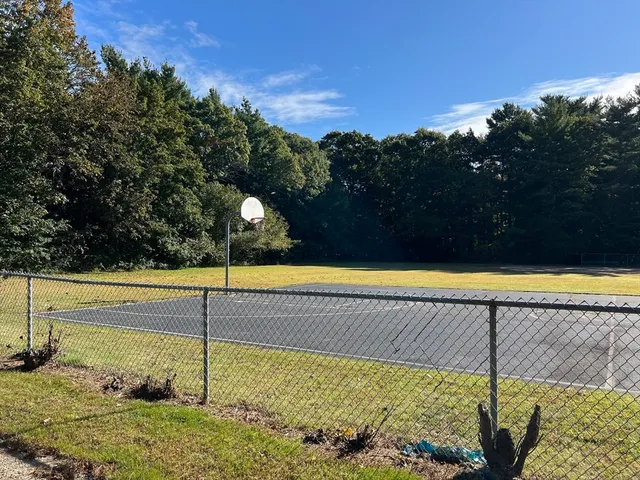 a view of a back yard