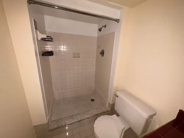 a bathroom with a shower and a toilet