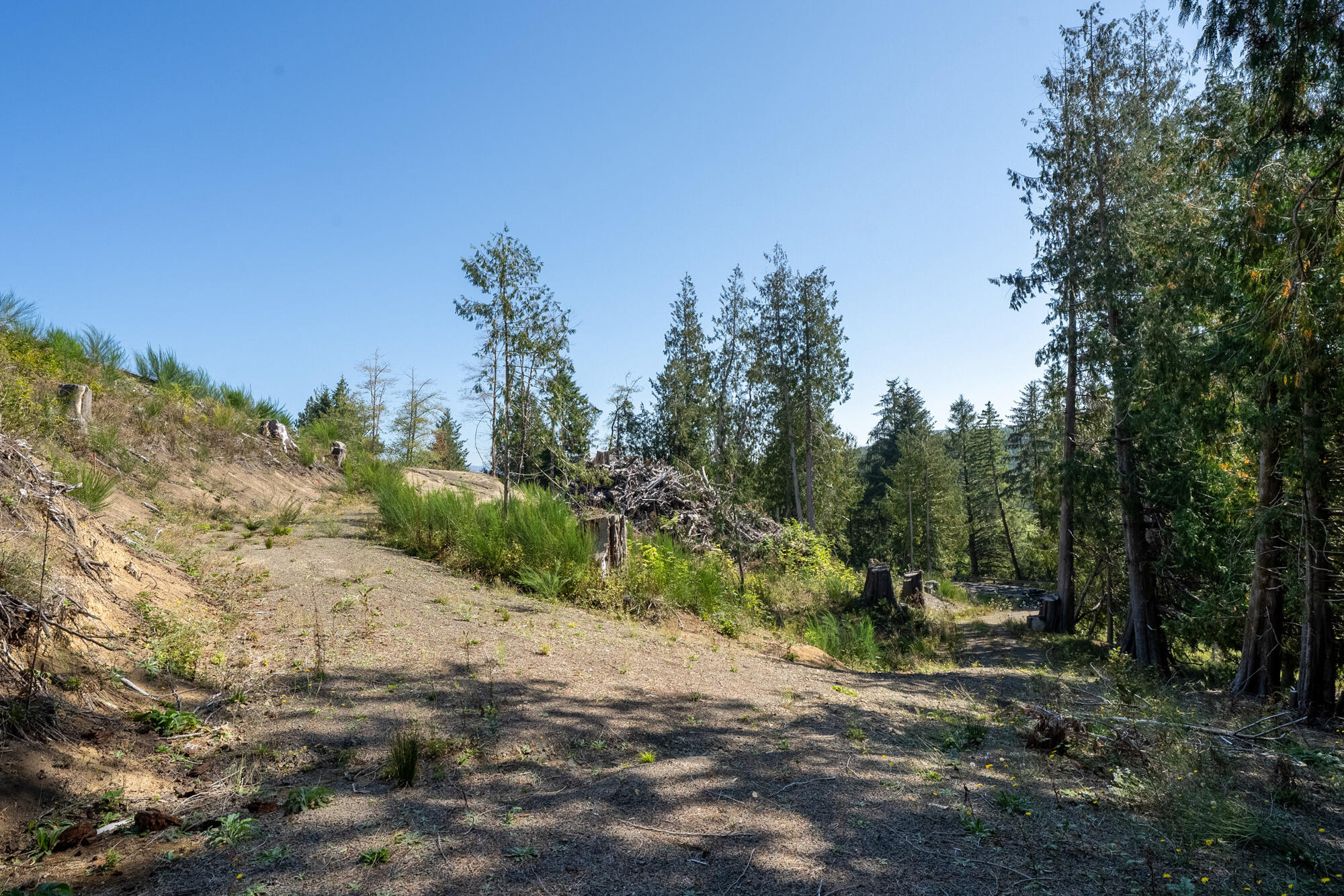 1207 Sandlake Road Cloverdale, OR 97112 - Photo 23 of 33 Aerial of Lots