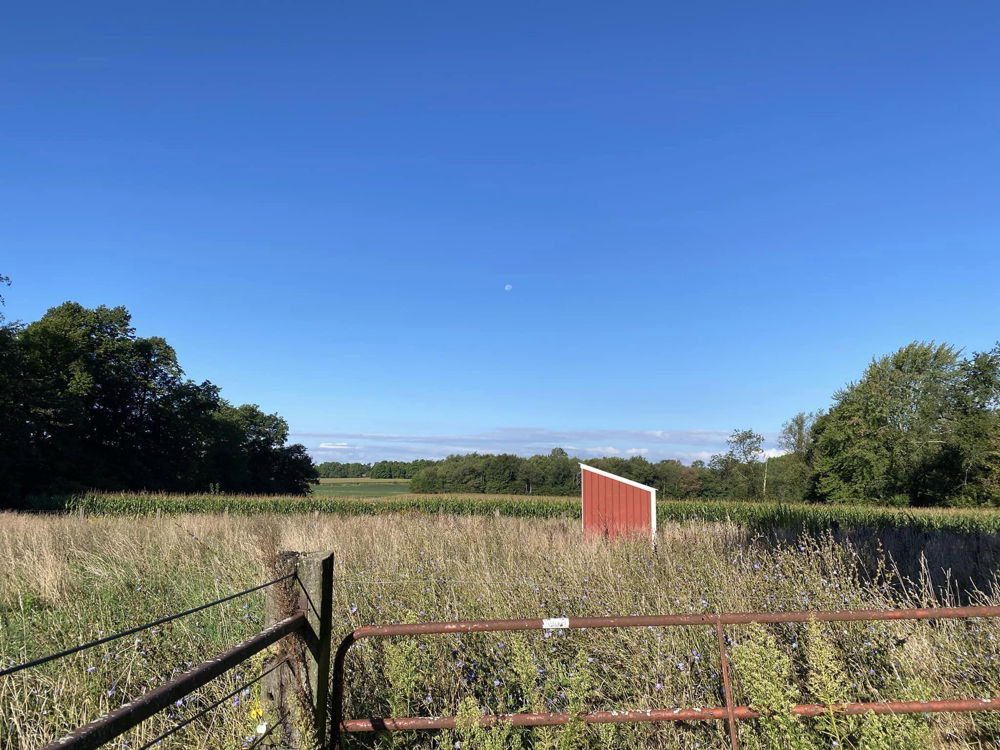 6080 North Allen Road Allen, MI 49227 - Photo 20 of 52 HODGE26