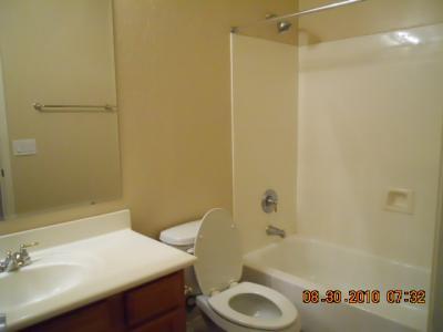 16508 West Rowel Road Surprise, AZ 85387 - Photo 17 of 39 x