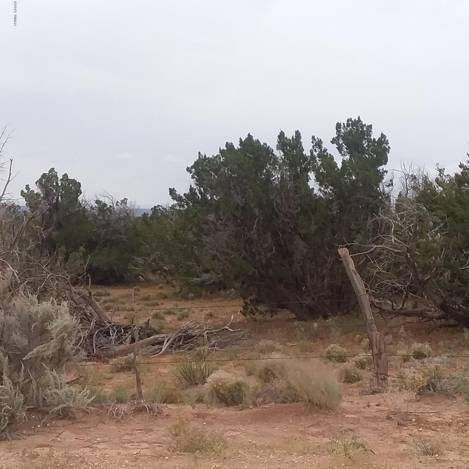 005 T17n R29e Sec 6 St. Johns, AZ 85936 - Photo 5 of 8