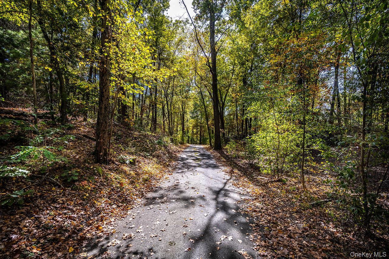 53 Tyrrel Road Pleasant Valley, NY 12569 - Photo 26 of 35 a view of outdoor space and trees