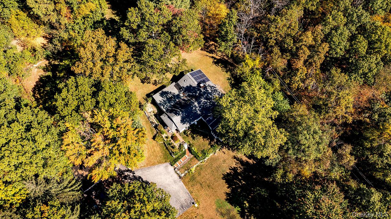 53 Tyrrel Road Pleasant Valley, NY 12569 - Photo 28 of 35 a picture of tree