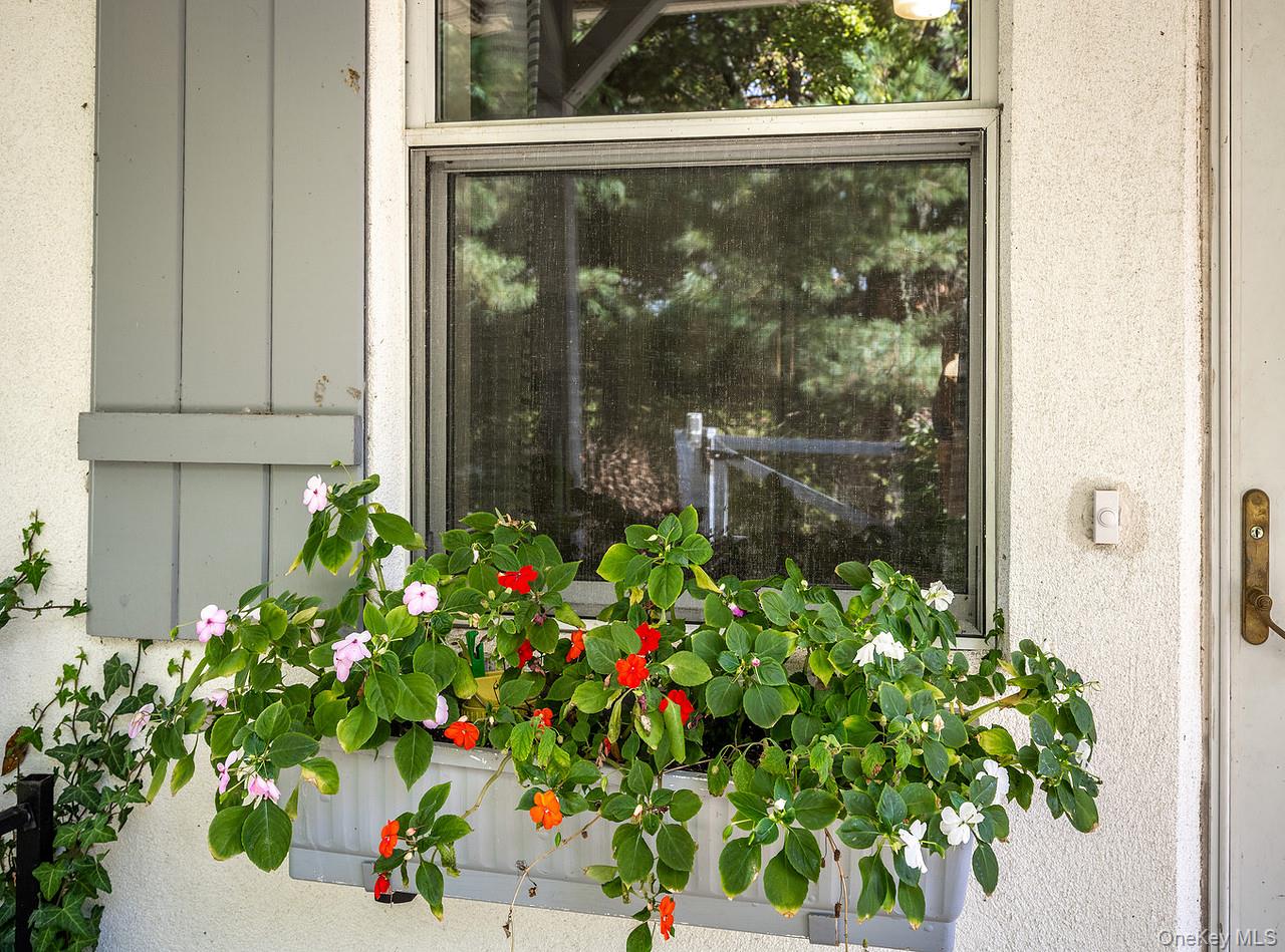53 Tyrrel Road Pleasant Valley, NY 12569 - Photo 30 of 35 a view of a garden with a flower