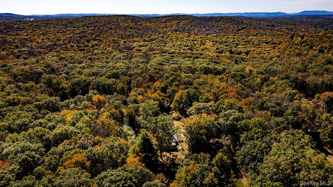 53 Tyrrel Road Pleasant Valley, NY 12569 - Photo 32 of 35 a view of a large tree