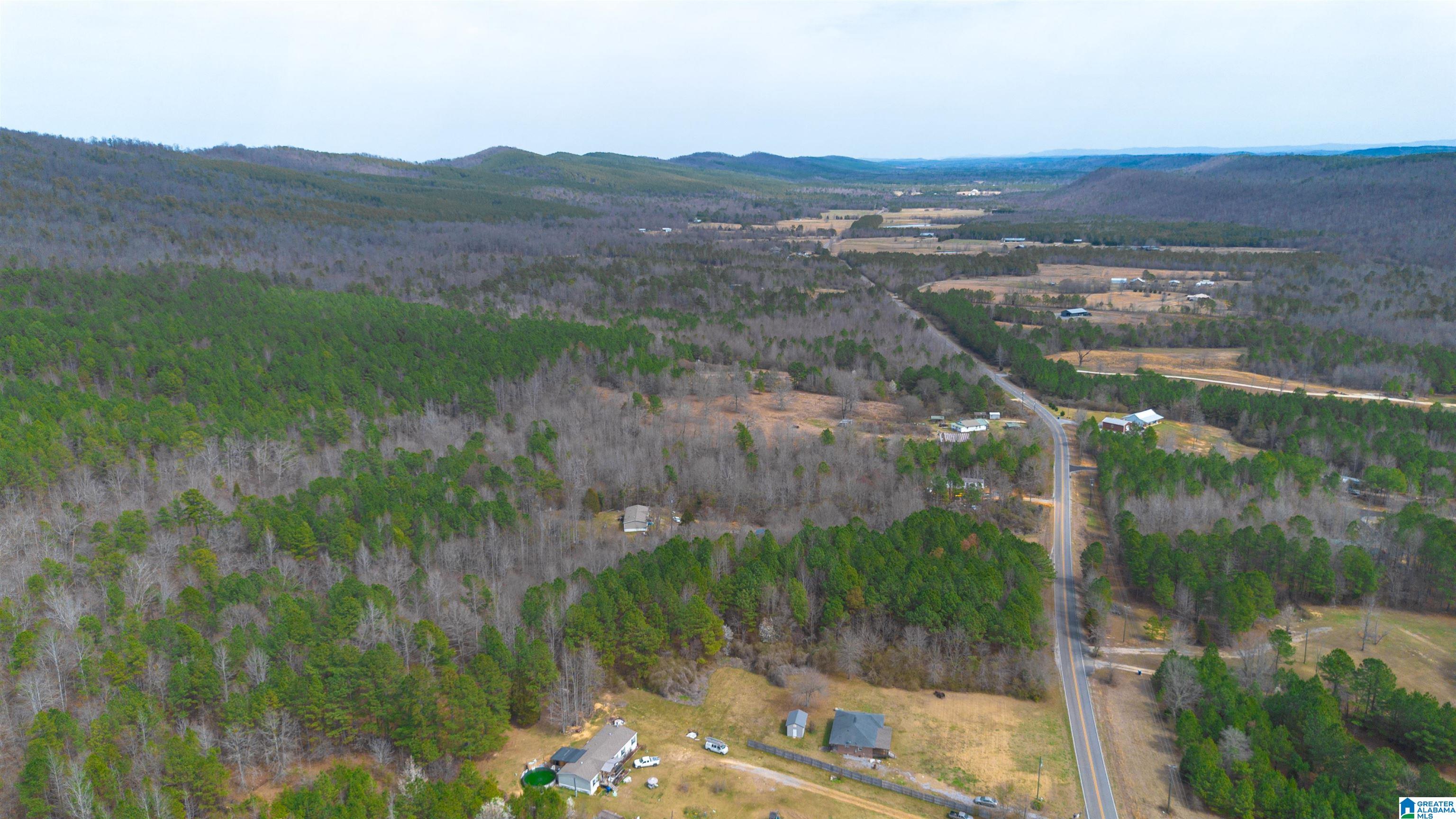 0 Shoal Creek Road Ashville, AL 35953 - Photo 10 of 10