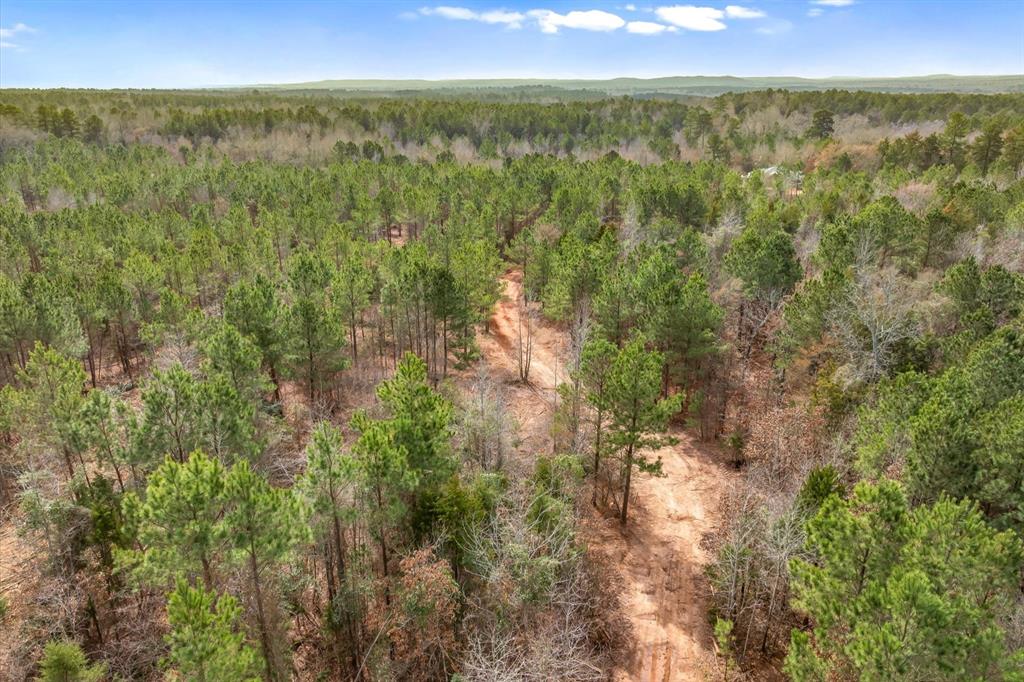 0 Fm-144 Daingerfield, TX 75638 - Photo 11 of 36