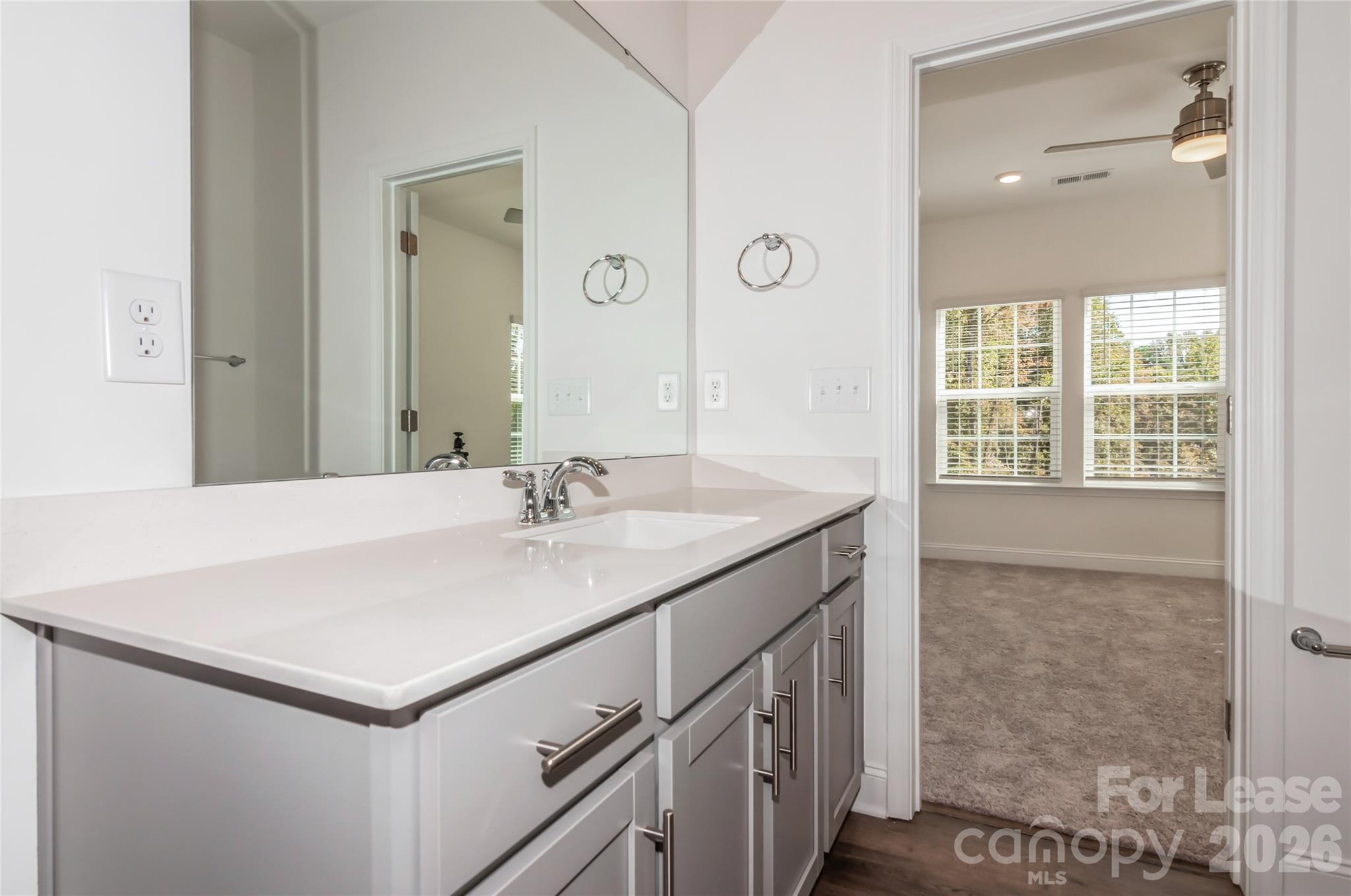 6002 Cedar Chip Way Matthews, NC 28105 - Photo 27 of 35 a bathroom with a sink and a mirror