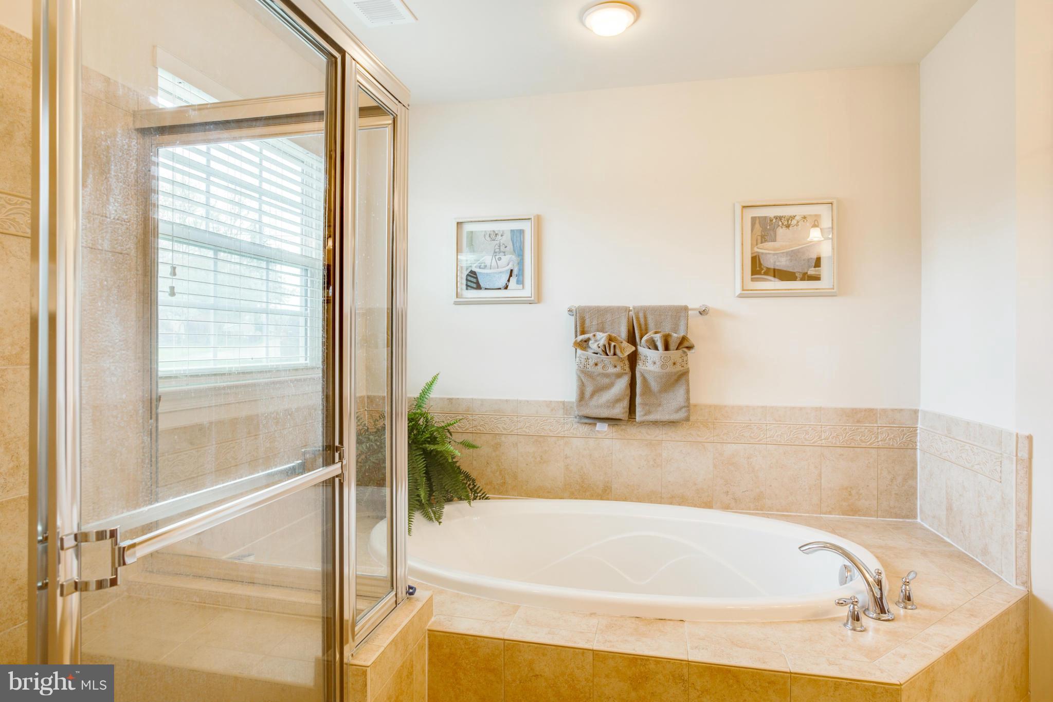 8395 Academy Road Ellicott City, MD 21043 - Photo 18 of 30 Bath (Master)