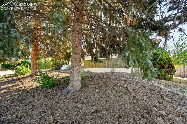 a view of dirt yard with a trees