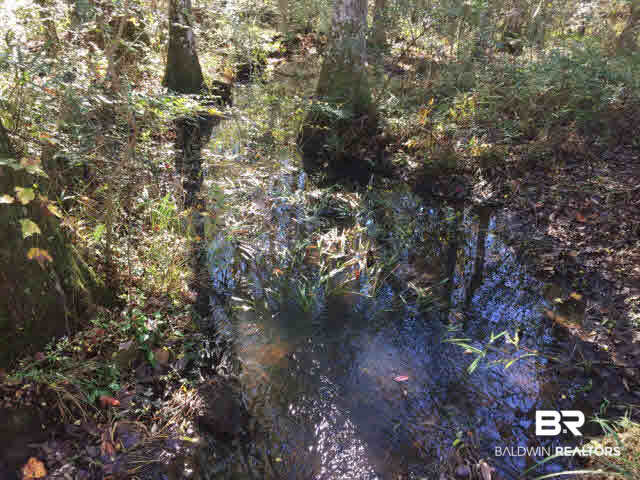 0 Boothtown Road Citronelle, AL 36522 - Photo 9 of 10