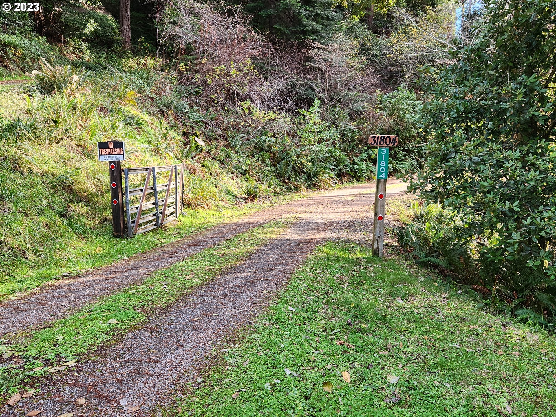 31804 Rumley Hill Road Gold Beach, OR 97444 - Photo 46 of 48 Driveway