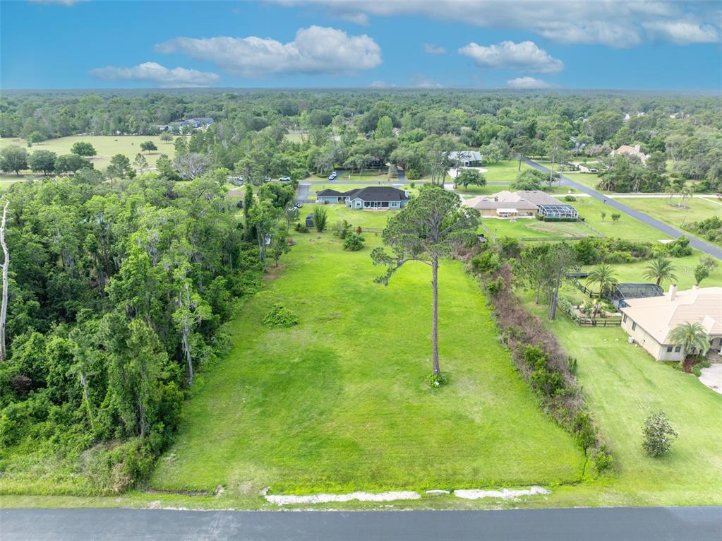 Mill Pond Road Tavares, FL 32778 - Photo 4 of 9