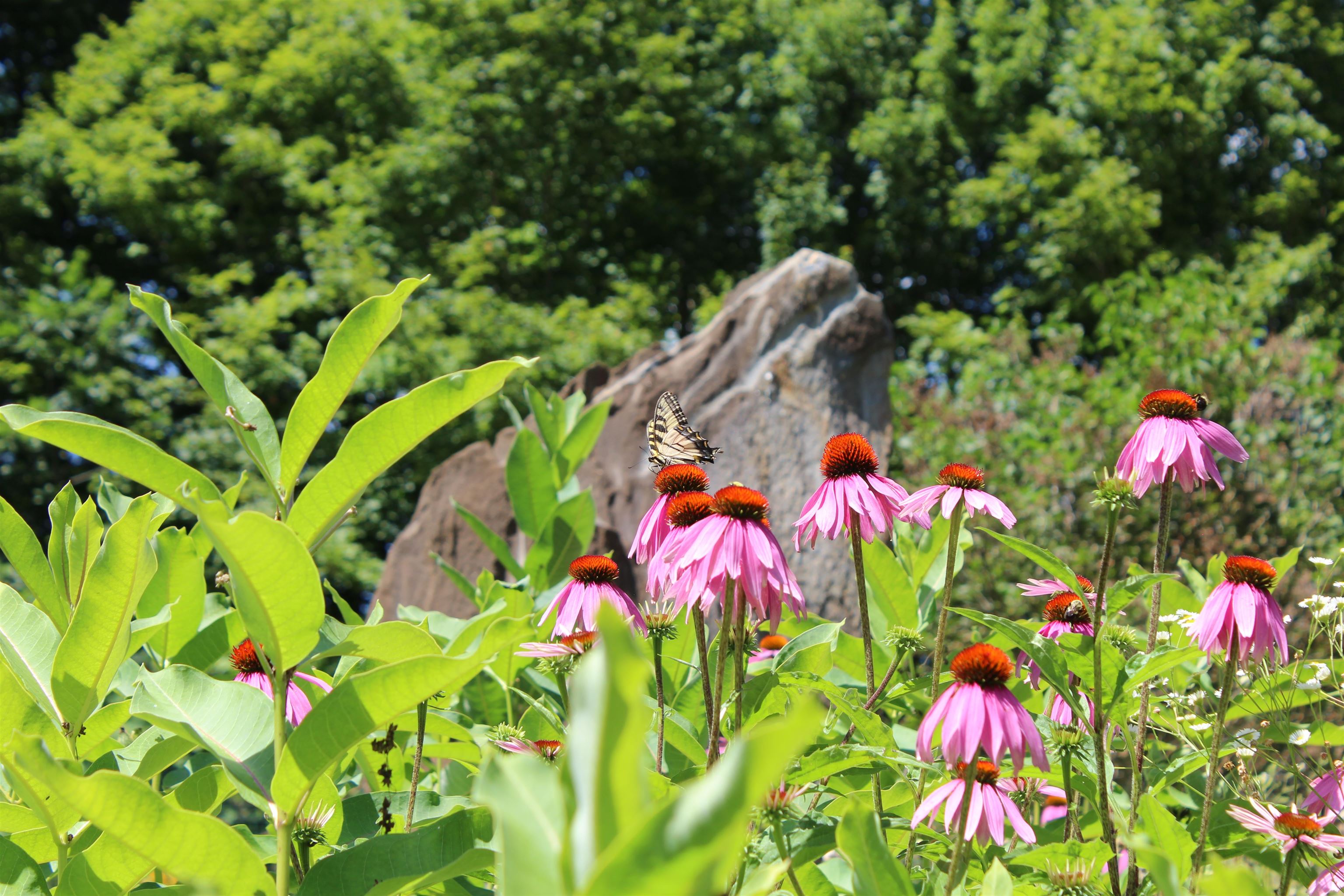 1643 Hammond Hill Road West Windsor, VT 05089 - Photo 46 of 60