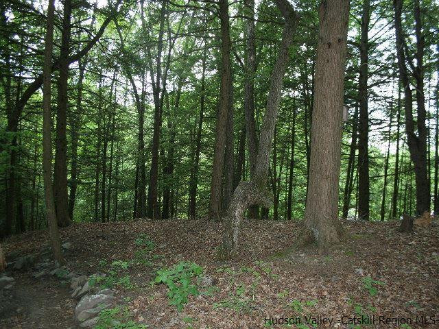 11 Shefers Road Kerhonkson, NY 12446 - Photo 14 of 15 Photo 14