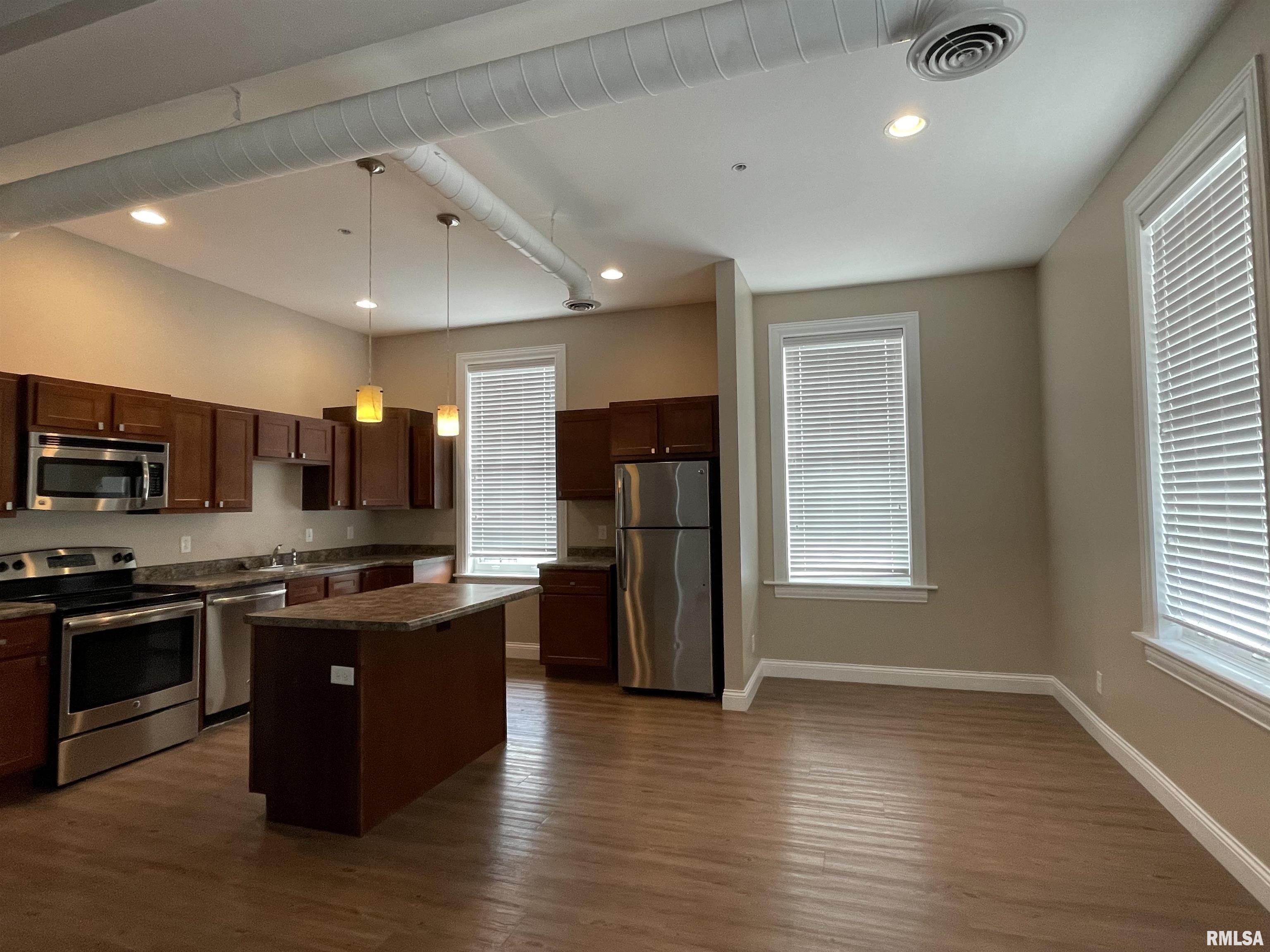 730 Main Street, Unit 201 Peoria, IL 61602 - Photo 15 of 17