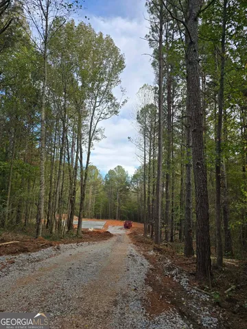 a view of a forest filled with trees