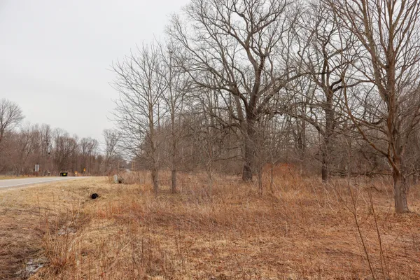 $74,900 | Mayer Road, Unit LOT 4, Goodells, MI 48027