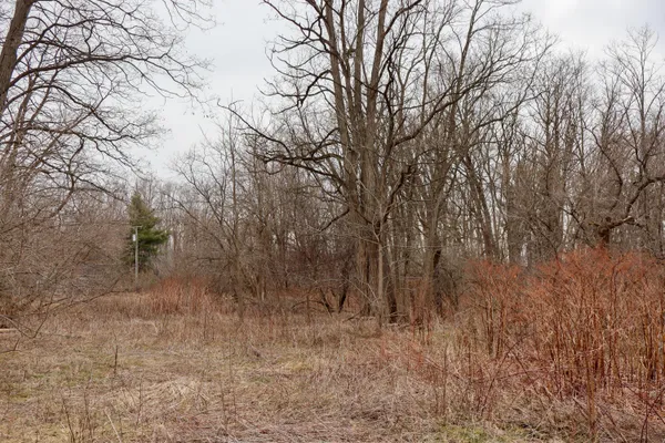 $74,900 | Mayer Road, Unit LOT 4, Goodells, MI 48027