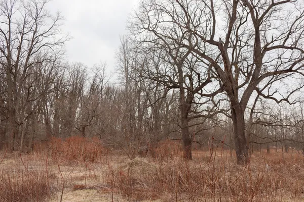$74,900 | Mayer Road, Unit LOT 4, Goodells, MI 48027