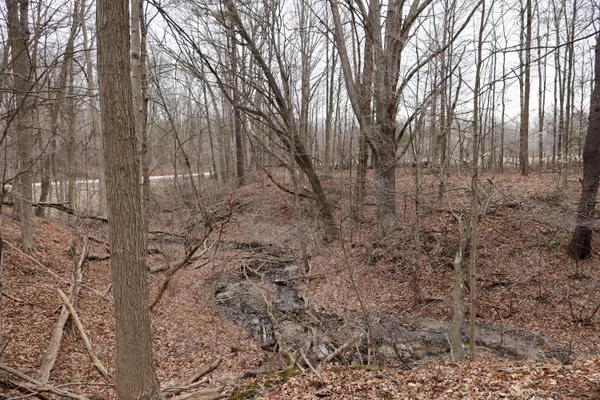 $74,900 | Mayer Road, Unit LOT 4, Goodells, MI 48027