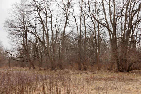 $74,900 | Mayer Road, Unit LOT 4, Goodells, MI 48027