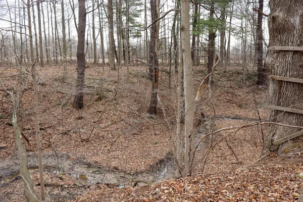 $74,900 | Mayer Road, Unit LOT 4, Goodells, MI 48027