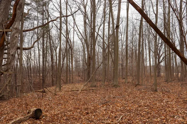 $74,900 | Mayer Road, Unit LOT 4, Goodells, MI 48027